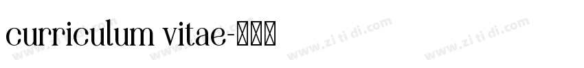 curriculum vitae字体转换